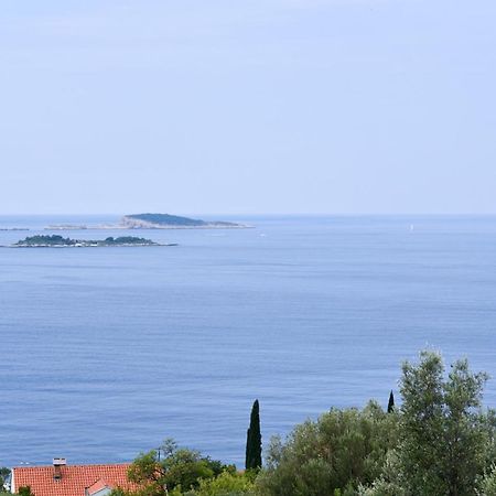 Apartment Eli - Sea View Млини Екстериор снимка