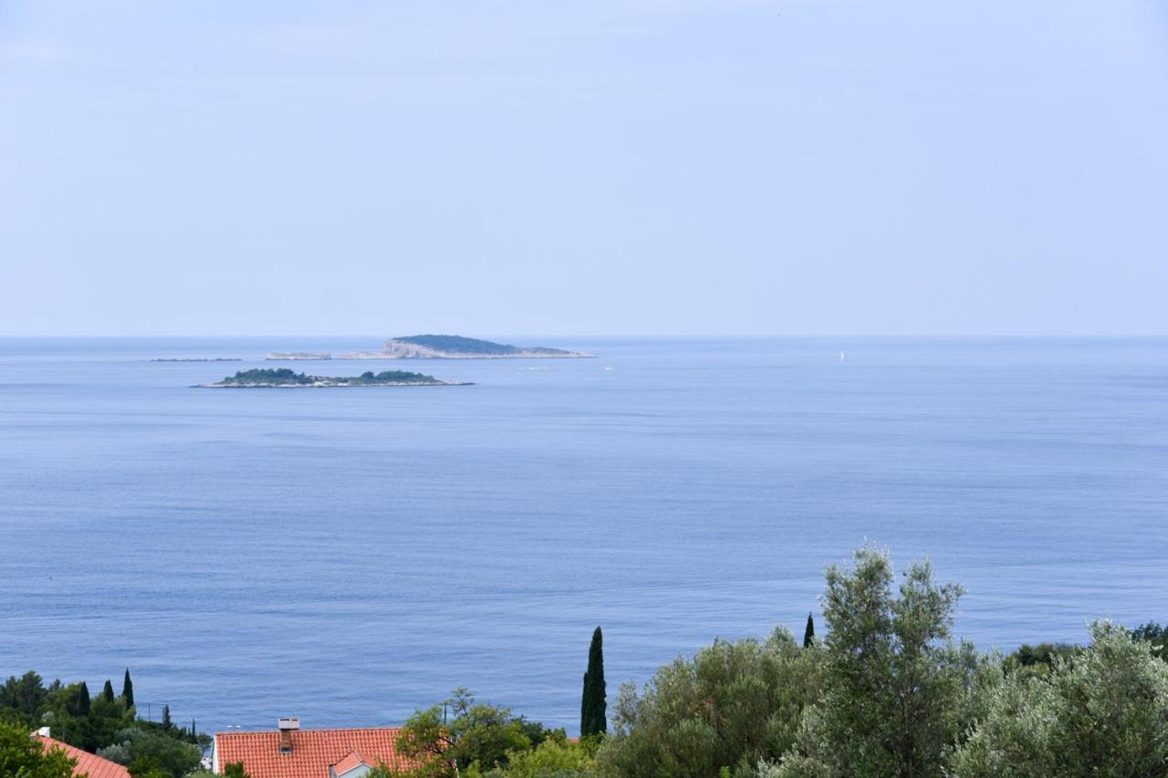 Apartment Eli - Sea View Млини Екстериор снимка