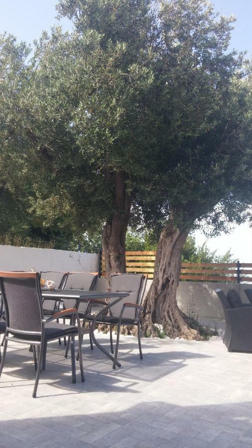 Apartment Eli - Sea View Млини Екстериор снимка